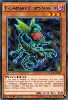 Predaplant Ophrys Scorpio [Maximum Crisis]