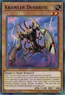 Krawler Dendrite [Circuit Break]