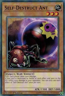 Self-Destruct Ant [Circuit Break]