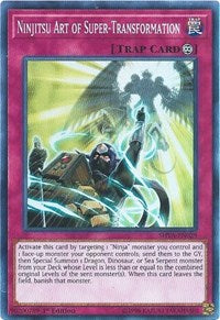 Ninjitsu Art of Super-Transformation [Shadows in Valhalla]