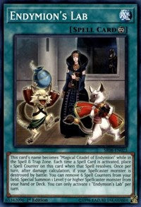 Endymion's Lab [Structure Deck: Order of the Spellcasters] [SR08-EN023]