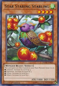 Star Staring Starling [Dark Neostorm] [DANE-EN024]