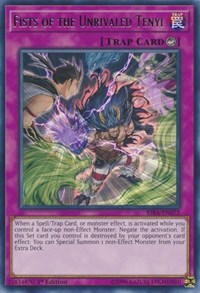 Fists of the Unrivaled Tenyi [Rising Rampage] [RIRA-EN072]