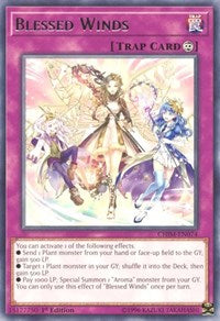 Blessed Winds [Chaos Impact] [CHIM-EN074]
