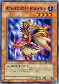 Amazoness Paladin [Dark Revelation Volume 1]