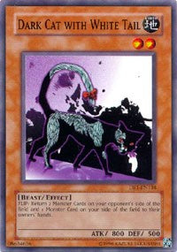 Dark Cat with White Tail [Dark Revelation Volume 1]