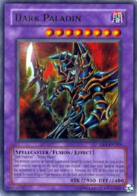 Dark Paladin [Dark Revelation Volume 1]