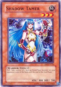Shadow Tamer [Dark Beginning 2]