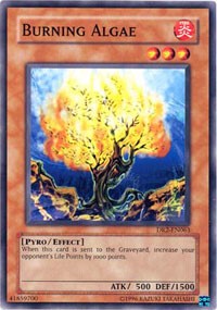 Burning Algae [Dark Revelation Volume 2]