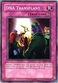 DNA Transplant [Dark Revelation Volume 2]