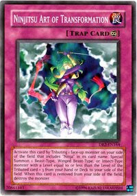 Ninjitsu Art of Transformation [Dark Revelation Volume 2]