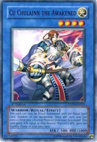Cu Chulainn the Awakened [Strike of Neos]