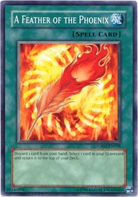 A Feather of the Phoenix [Champion Pack 3]