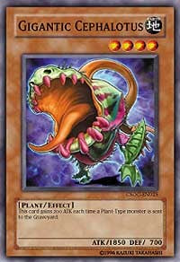 Gigantic Cephalotus [Crossroads of Chaos]