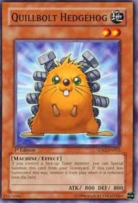 Quillbolt Hedgehog [5D's Starter Deck 2009]