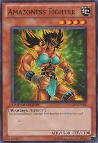 Amazoness Fighter [Gold Series 3]