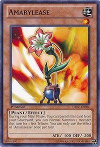 Amarylease [Cosmo Blazer]