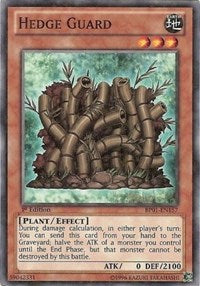 Hedge Guard [Battle Pack: Epic Dawn]