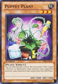 Puppet Plant [Starter Deck: Kaiba Reloaded]