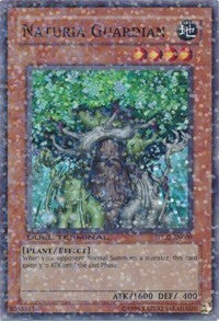Naturia Guardian [Duel Terminal 2]
