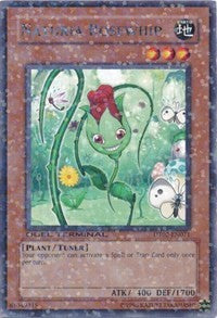 Naturia Rosewhip [Duel Terminal 2]