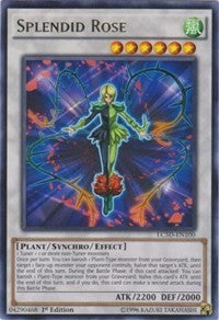 Splendid Rose [Legendary Collection 5D's]
