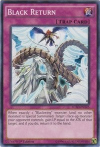 Black Return [Legendary Collection 5D's]