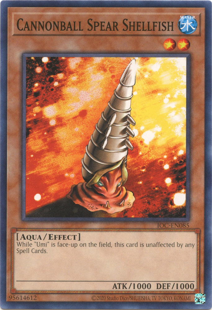 Cannonball Spear Shellfish [IOC-EN085] Common